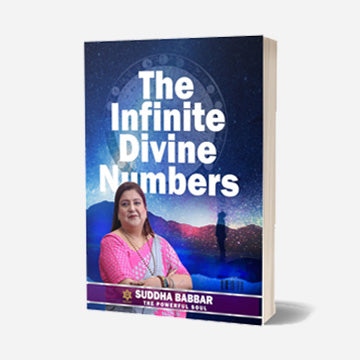 The Infinite Divine Numbers